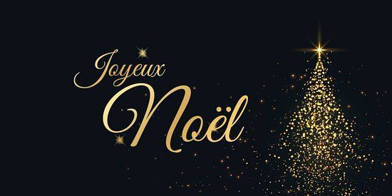 Canicrossbreizh vous souhaite un Joyeux Noël ! – Canicross Breizh